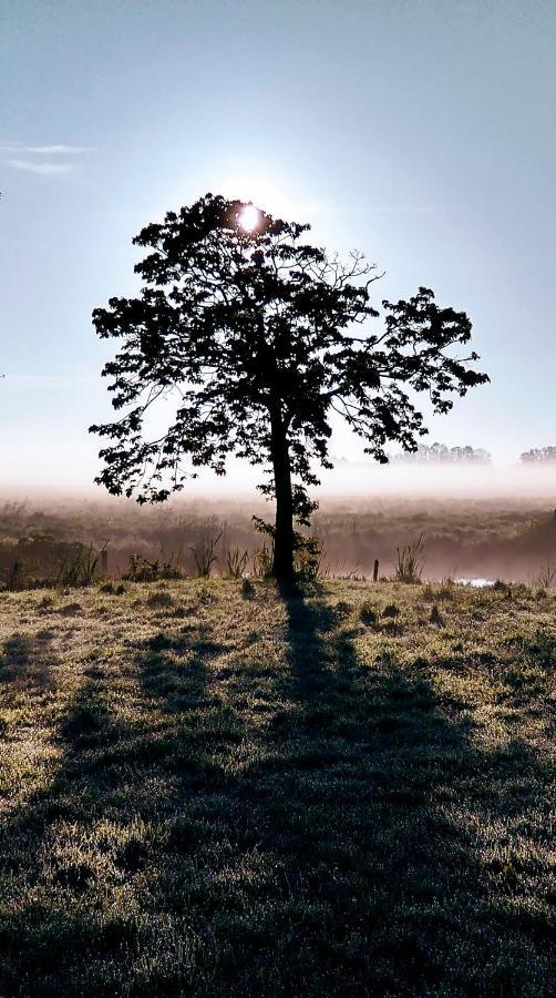 B&Bslapenopeeneiland Kaag Bagian luar foto
